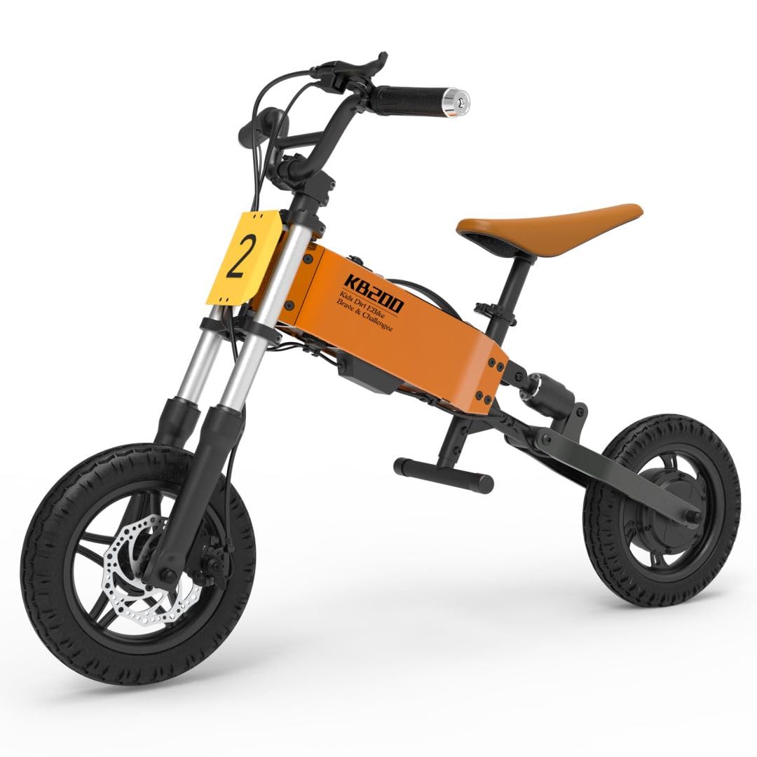RIGO Kids Electric Bike for 3-10 Years Old 24V 200W Shock Absorbing Electric Balance Bike with 12” Pneumatic Tires and Adjustable Seat with APP to Control 3 Speeds, for Boys and Girls (Orange)