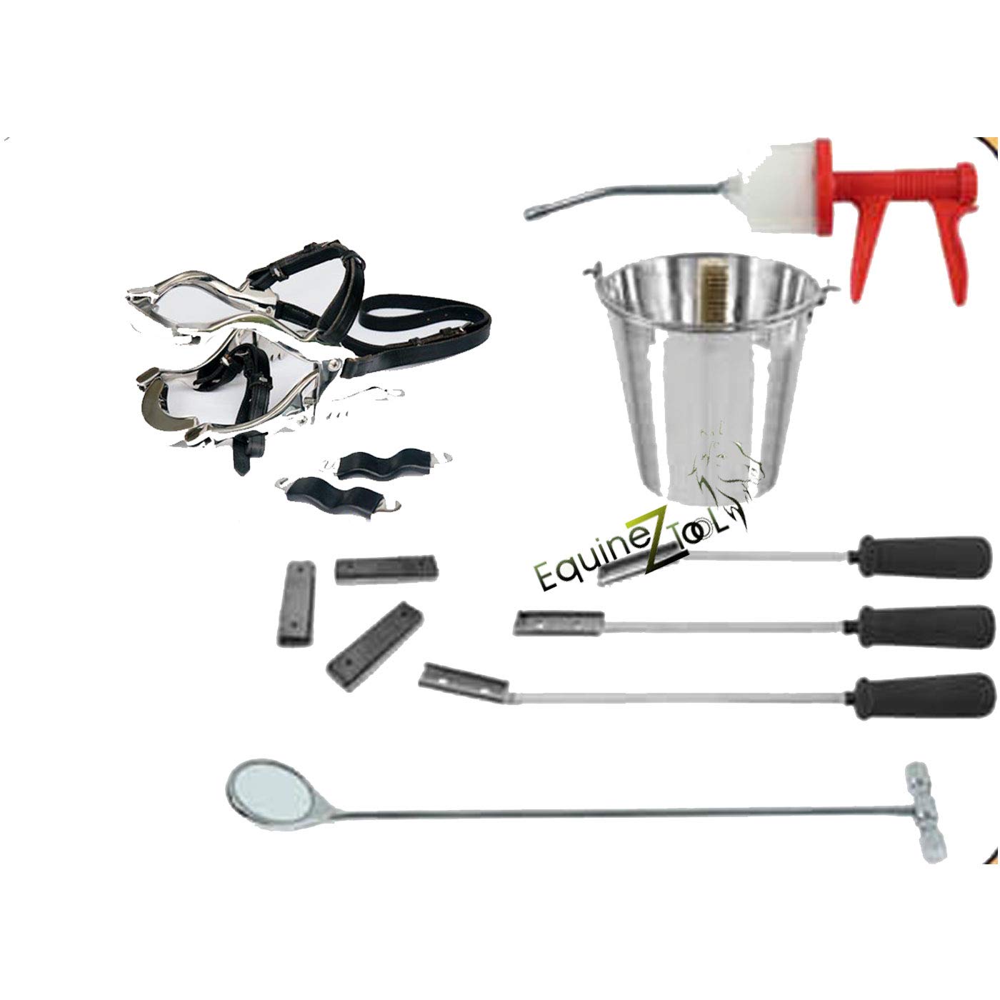 Equine Dental Kit Set Speculum Horse with Basic Items Floats, Syringe, Mirror