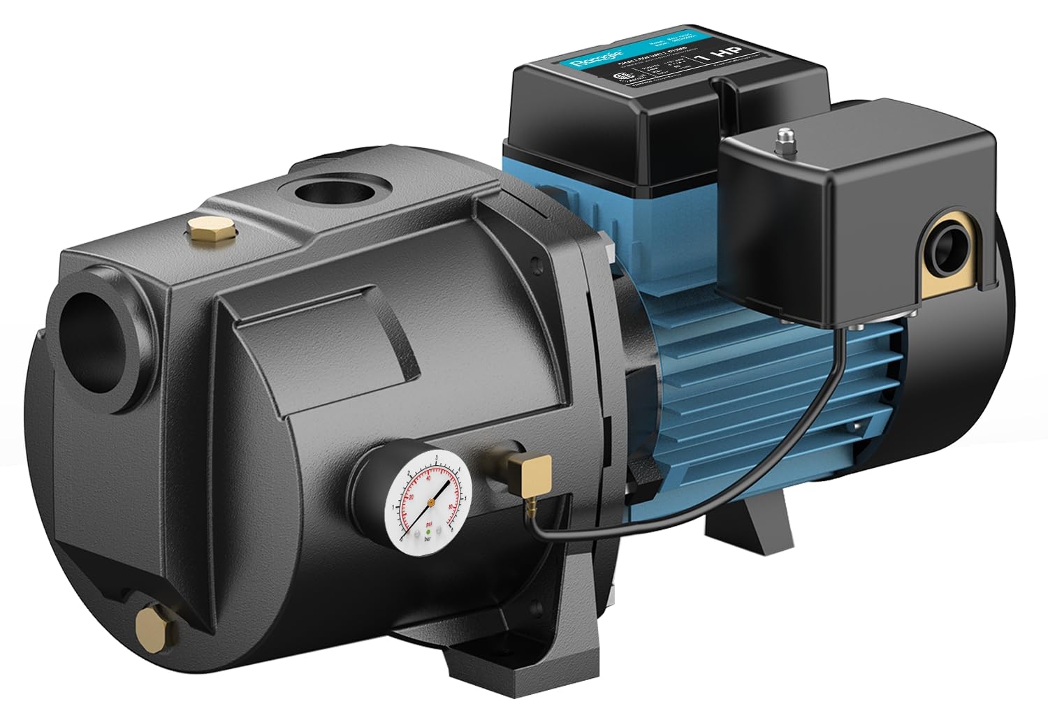 BOMGIE 1HP Shallow Well Jet Pump, 115V/230V Durable Cast Iron Pump, Well Depth up to 25 ft, Automatic Pressure Switch, for Farm, Lawn, Garden
