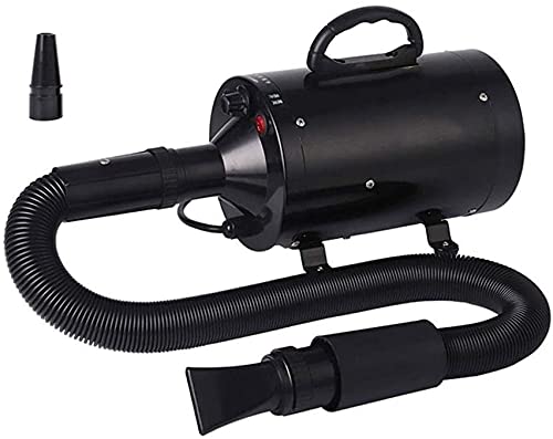 U5GAAALPPQ9 Pet Dog Blower High-Power Silent Hair Dryer Professional Grooming for Electric Asciugatrice Hot/Cold Air Secador (Color : Gold) (Black)