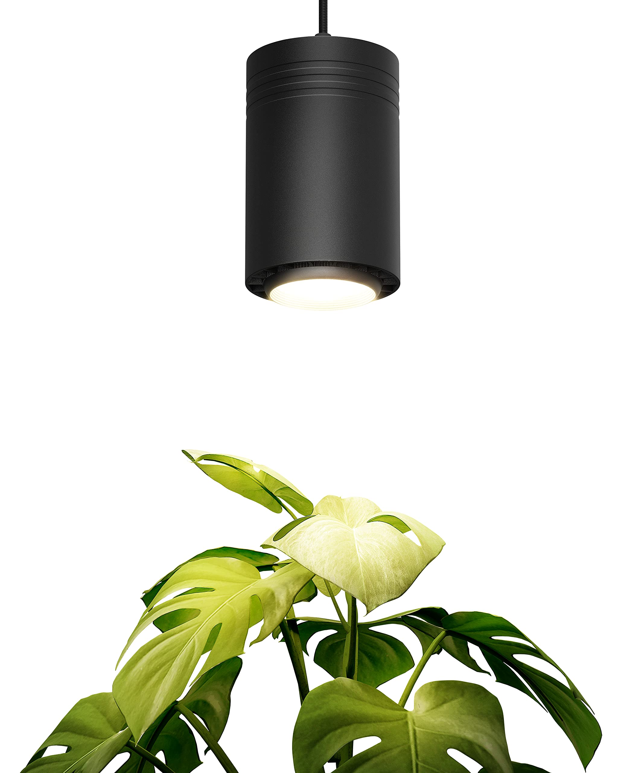 Aspect World's First Decor Grow Light - Black Luxury LED Grow Light For Medium and Large Plants