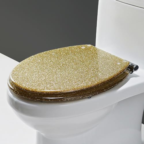 Glitter Toilet Seat Round 16.5 Inch Quick Release Toilet Seats Cover with Slow Close Toilet Lid, Lid, Easy Installation Resin Safe Material