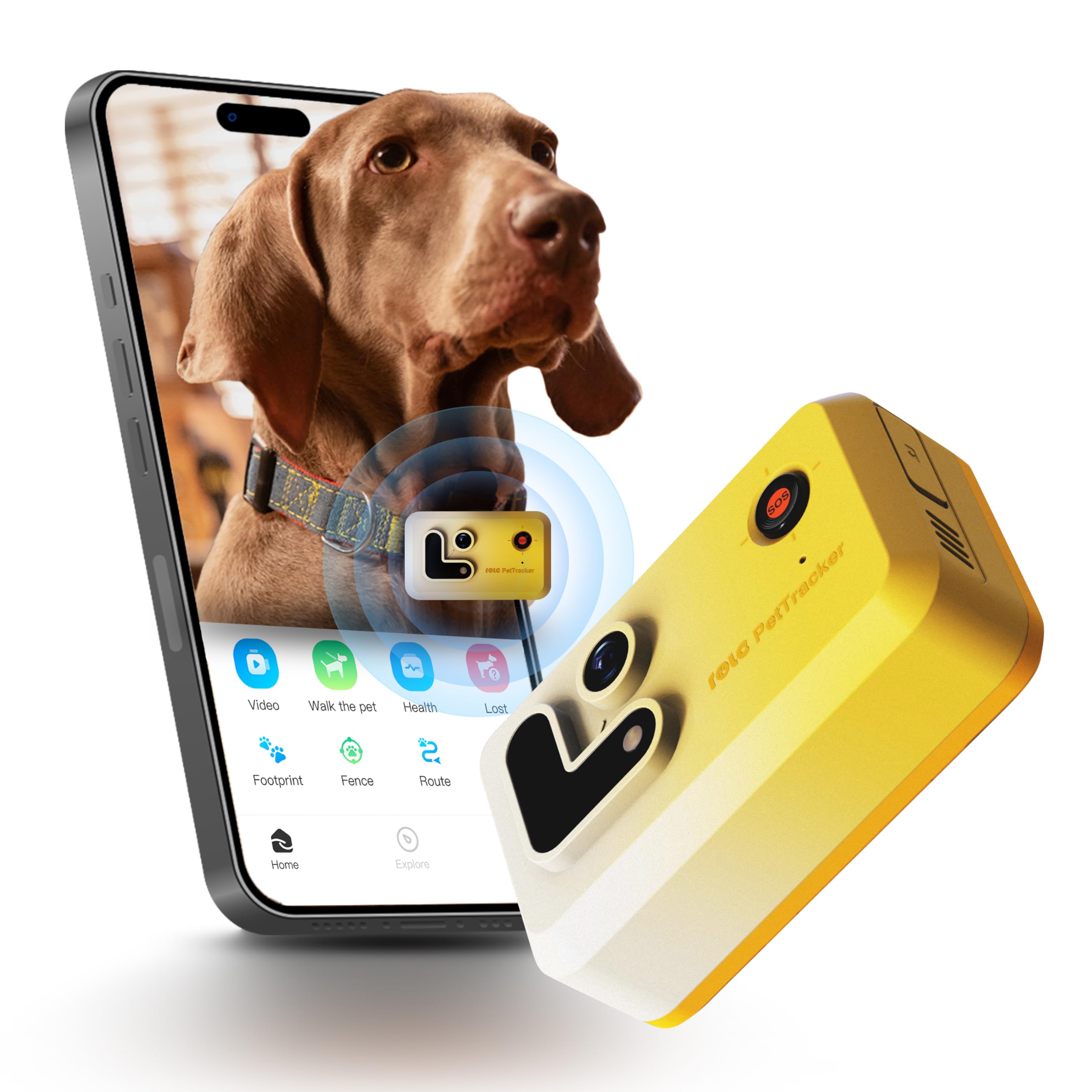 ROLA PetTracker GPS Tracking for Dogs: Live GPS Location, Cellular & WiFi, Replacable SIM Card, Geofencing, Built-in Light and Sound, Camera for Image Positioning (Yellow)